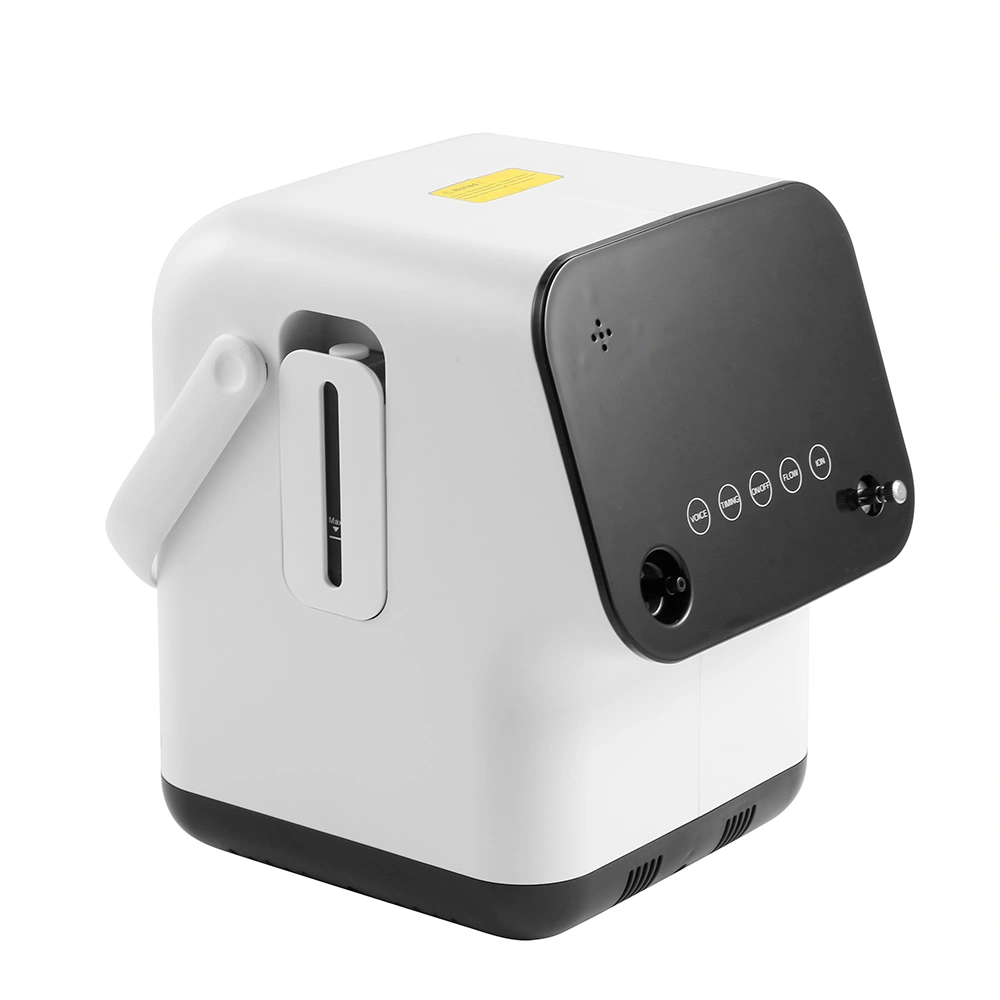 ZY-2AW Household Oxygen Concentrator High-Efficiency Stationary Oxygen Machine