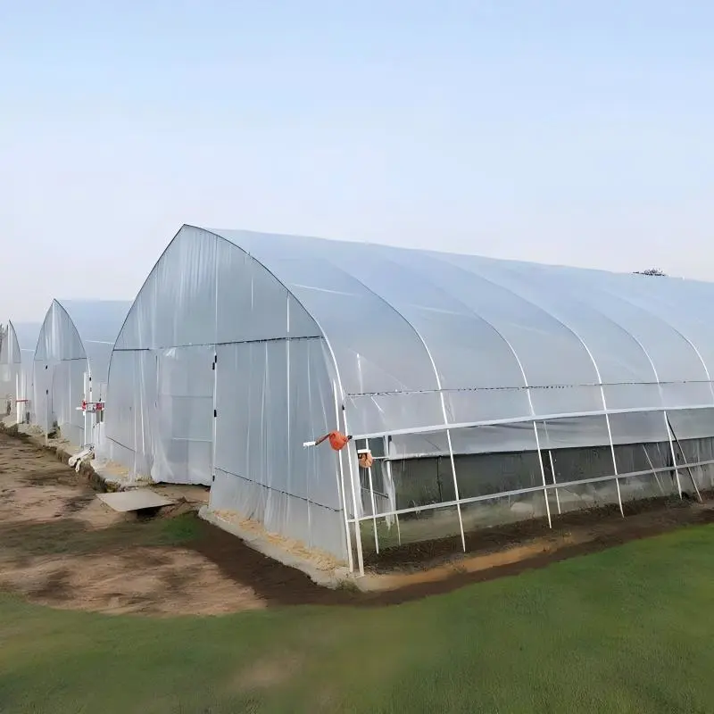 Single Span Greenhouse | Commercial Arch Greenhouse Guide