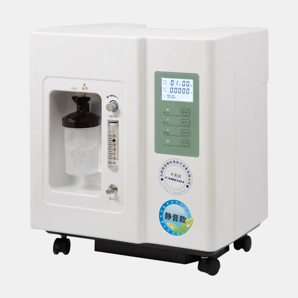 ZY-5FW Best Oxygen Concentrator Machine for Home Use
