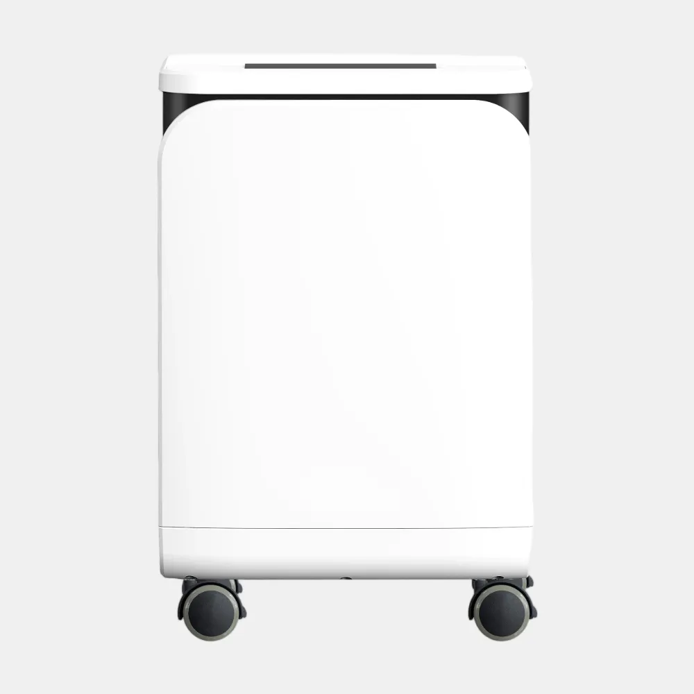 ZY-5EW Medical Grade Oxygen Concentrator with Atomization, LED Screen & Remote Control