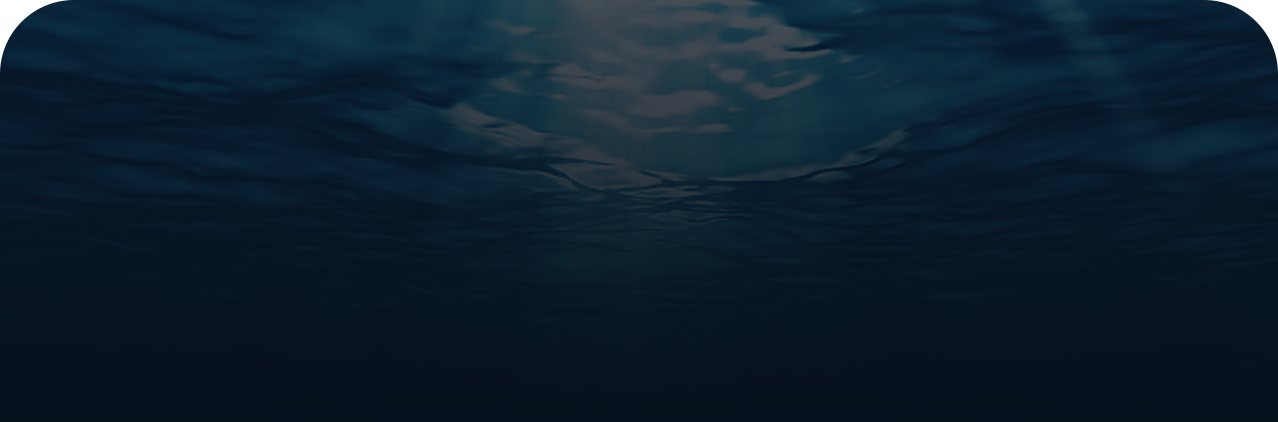 imagebanner0