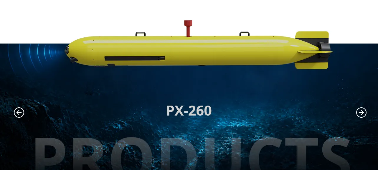 bannerImage