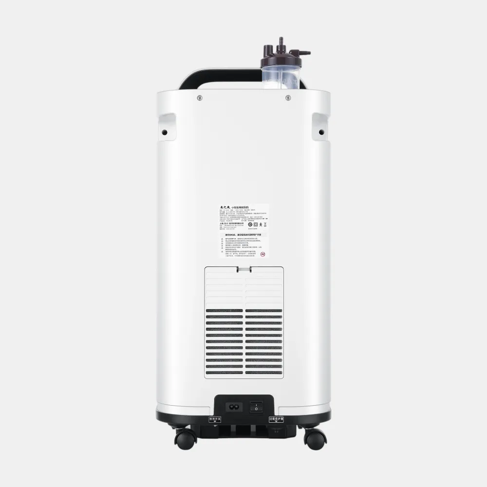 ZY-6DW High-Capacity 6L Home Use Oxygen Concentrator