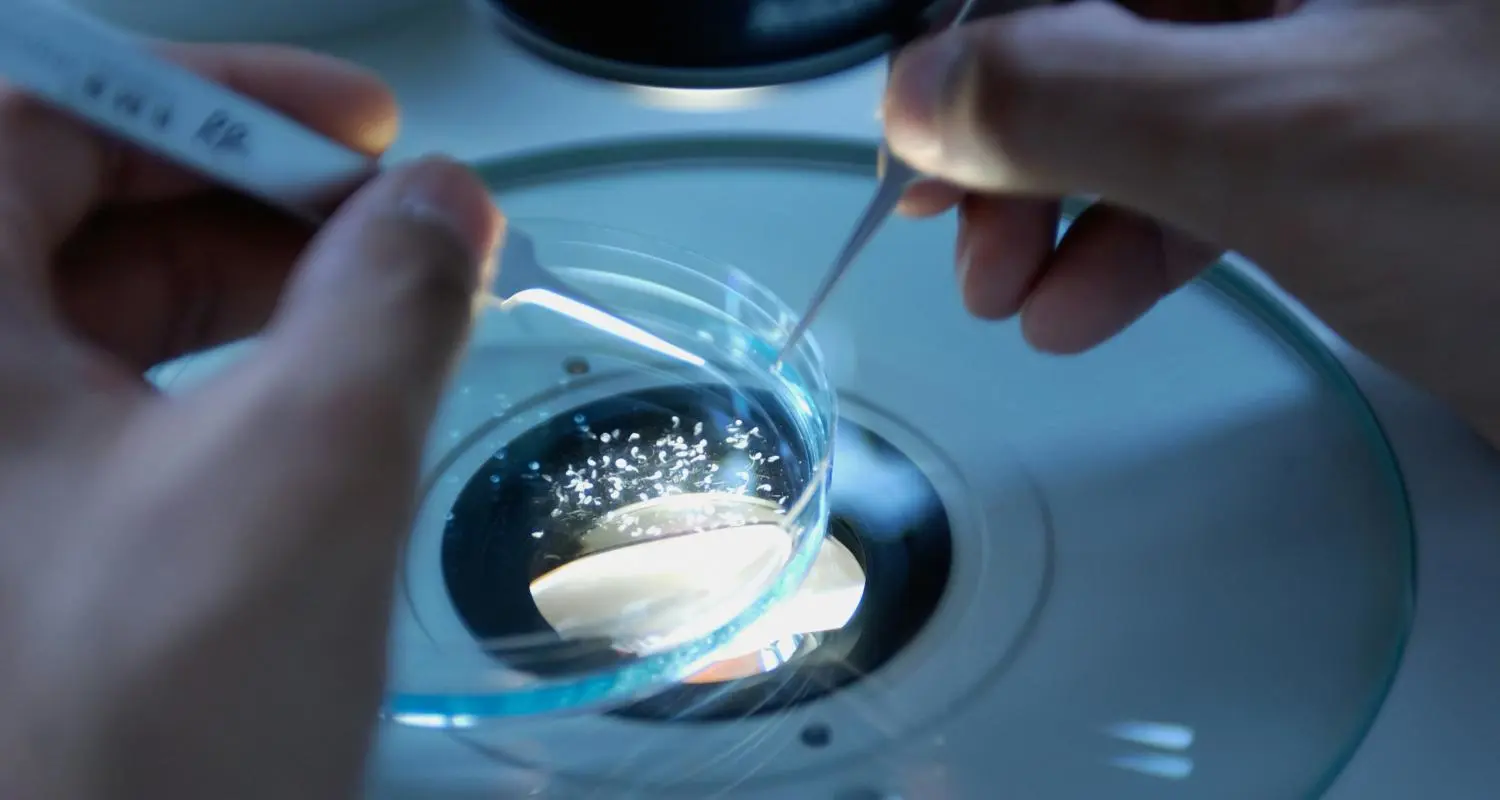 Can a Steel Fume Hood Handle Corrosive Chemicals Safely?