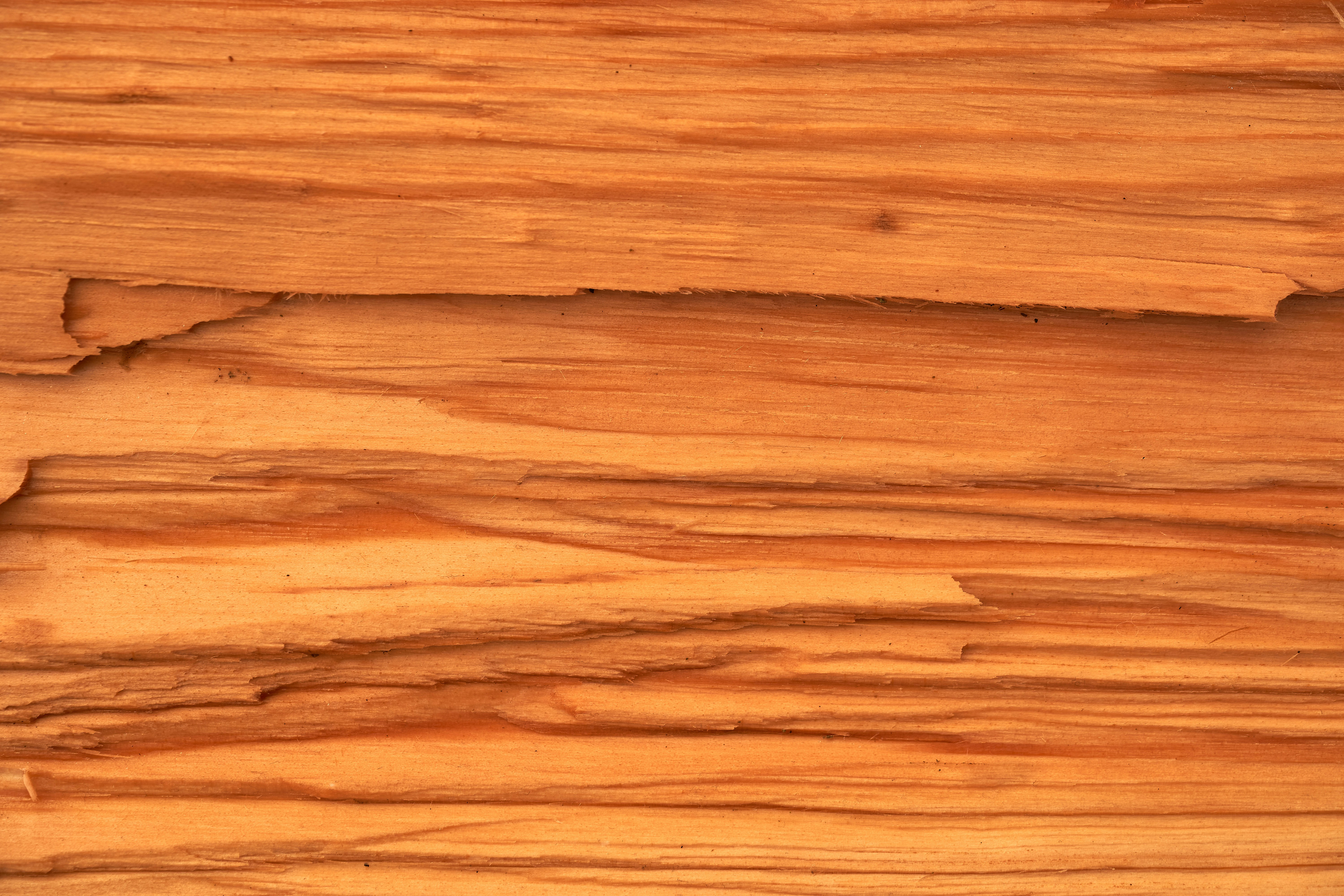 wood veneer-7.jpg