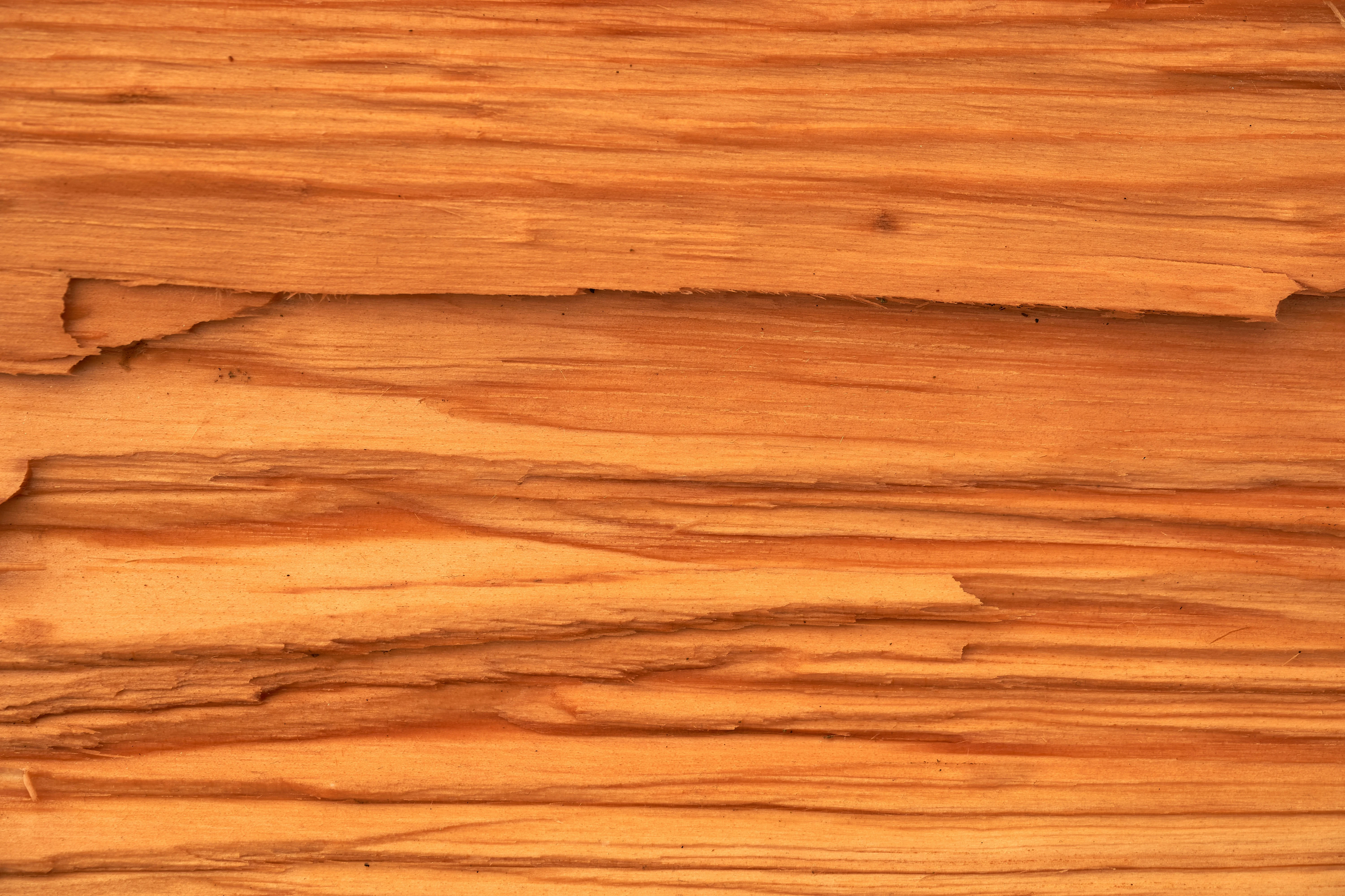 Panneaux de placage de bois personnalisés de haute qualité et avec des designs flexibles