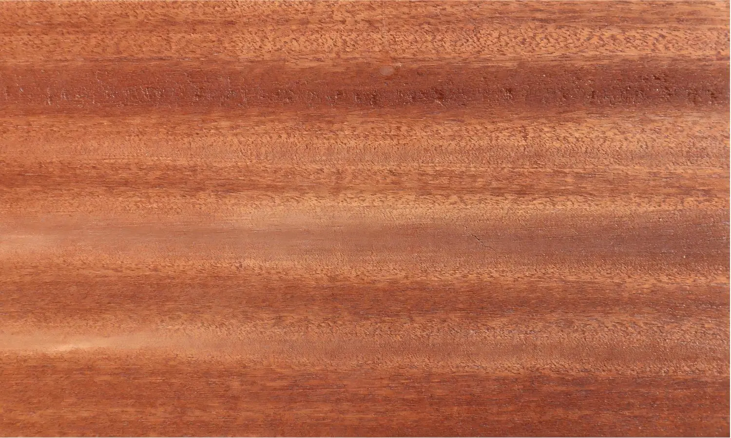 Solutions d'Intérieur en Placage de Bois pour des Espaces Élégants et Naturels