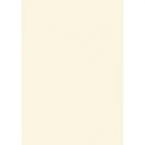 Fornitore di Pannelli Decorativi PET opachi Bianco Cristallo W990