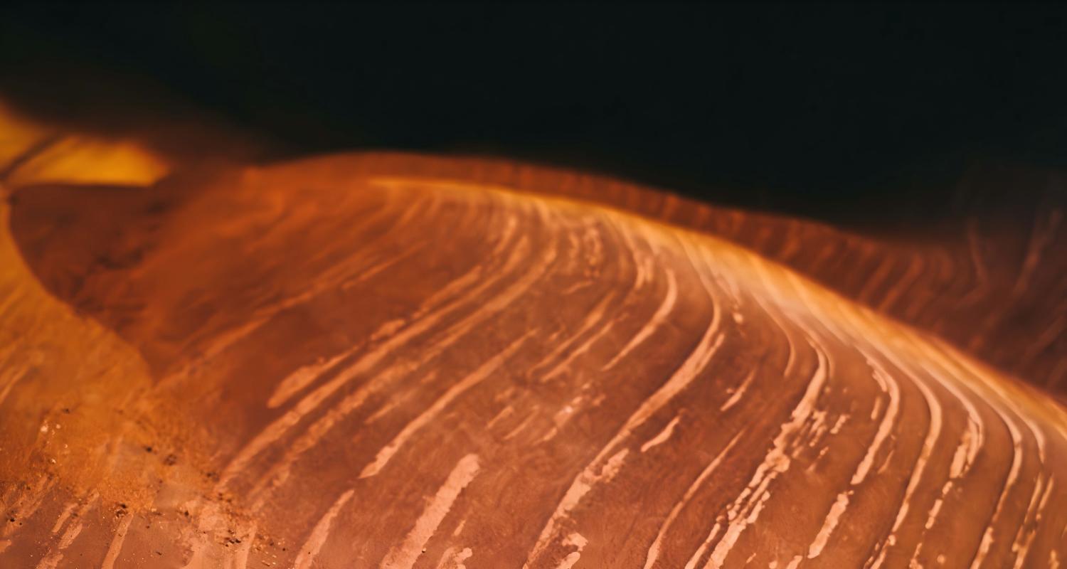 wood veneer-18.jpg