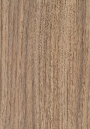 LS79.png