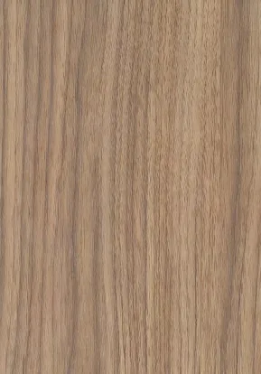 LS79