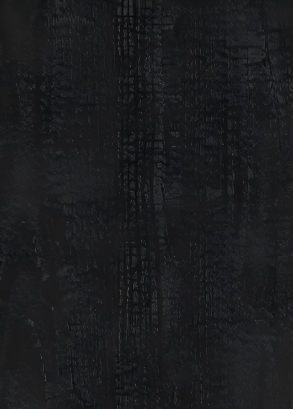 CLPL1960炭烧木.png