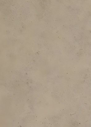 FD10.png