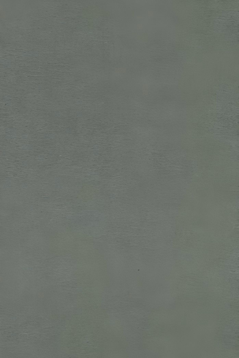 F617曼图枪.png