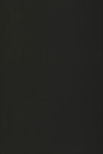 WA18奥境黑藤.png