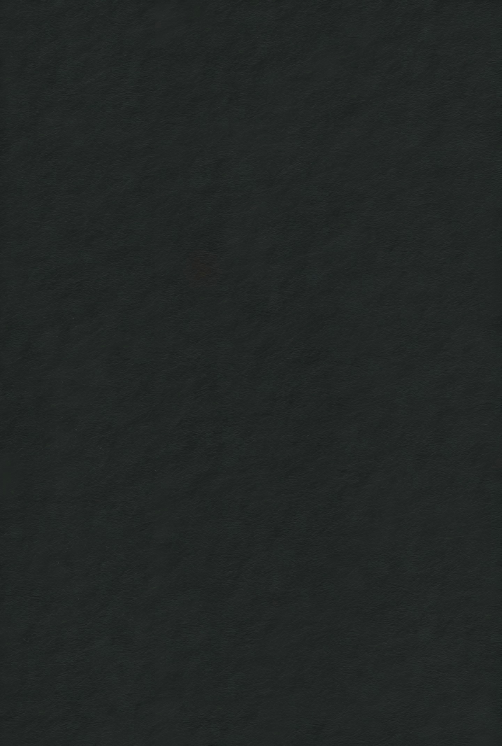 PN-30馥芮皮纹.png