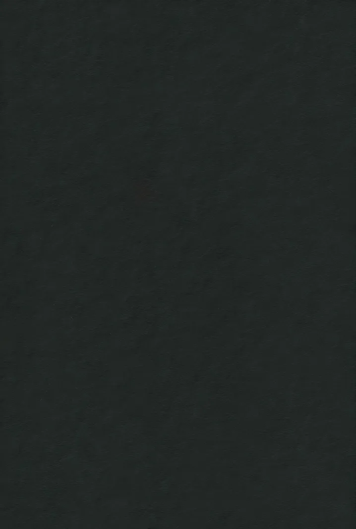 PN-30 Fleur Textura