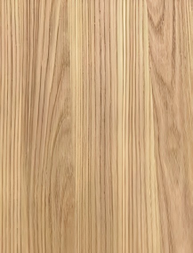 M8805黄橡木.png