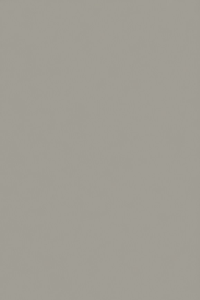 D-906-S索伦麻灰.png