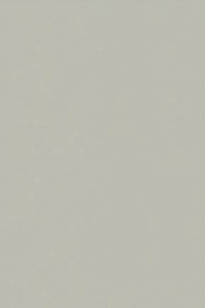 D-905-S佛罗麻灰.png