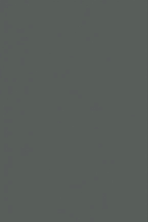 D-907-S卡塔麻黑.png