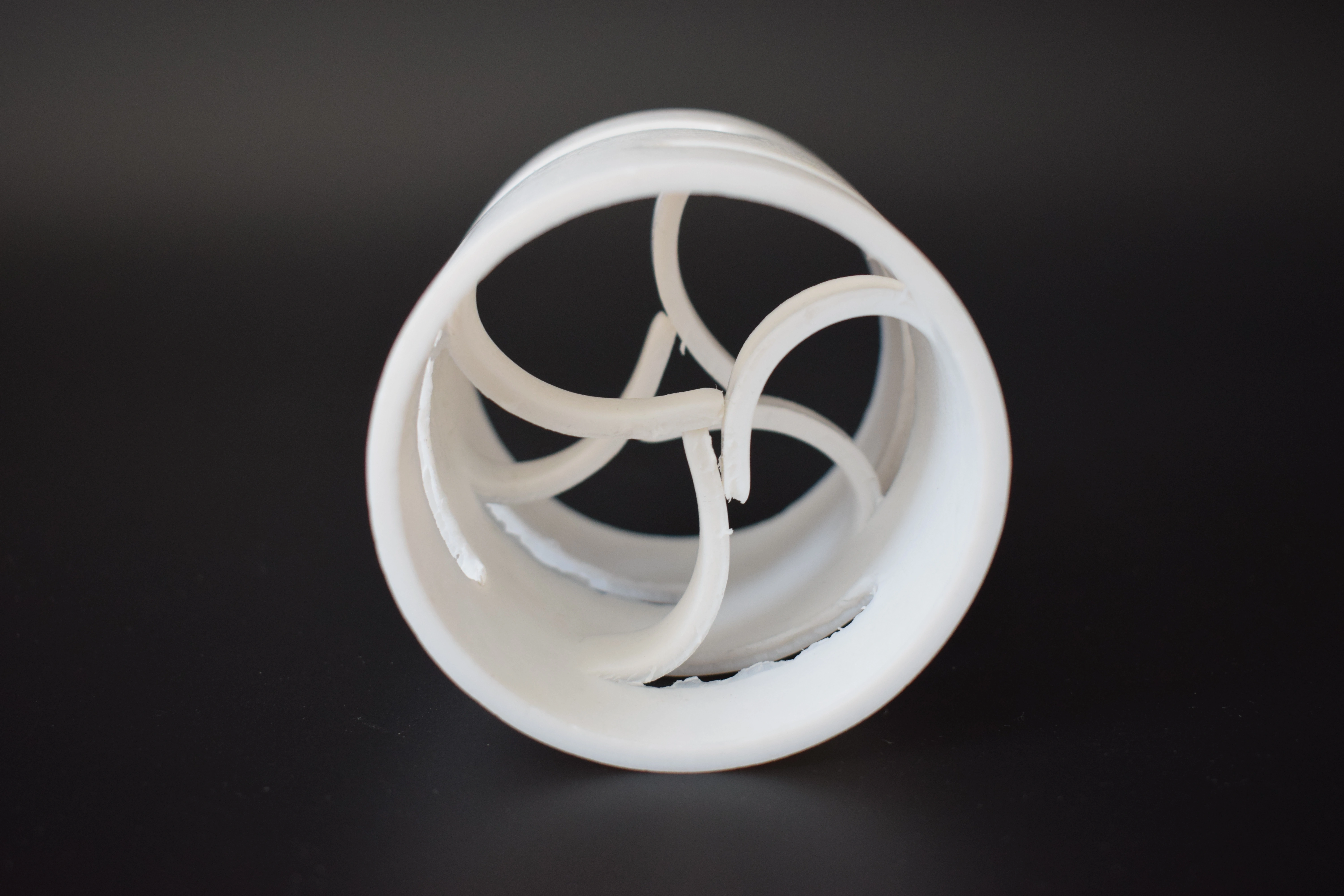 Eigene PTFE-Pall-Ringe | Chemikalienbeständige zufällige Füllkörper für Kolonnen