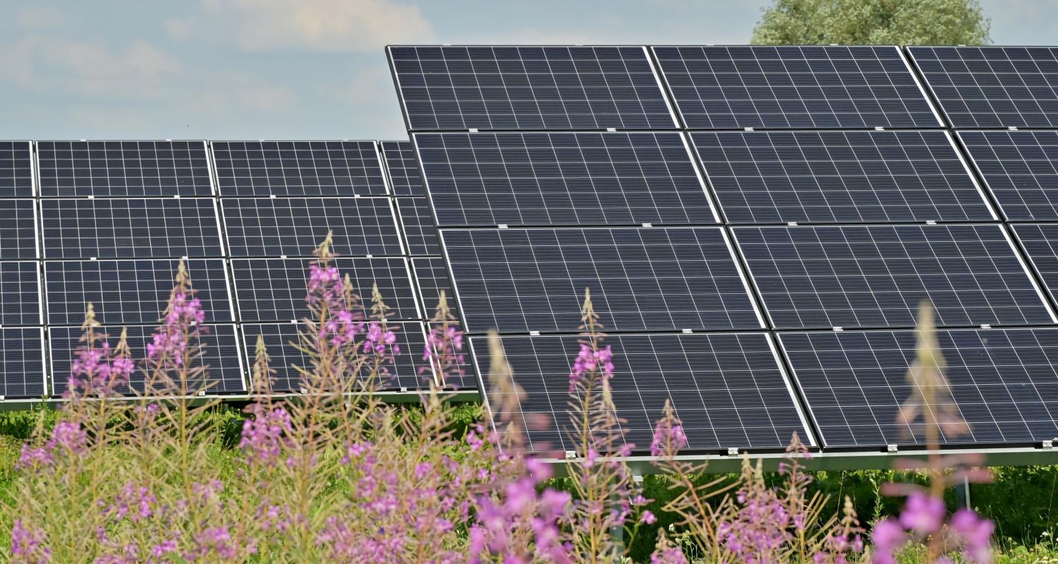 Photovoltaic project-21.jpg