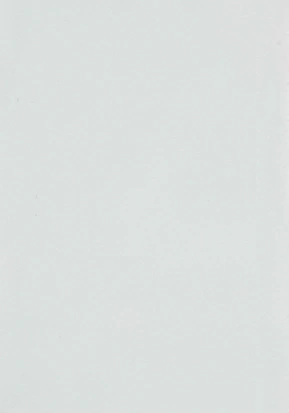 Série de Revestimento Metálico Ultra-Resistente NPW001XH Ouro Branco