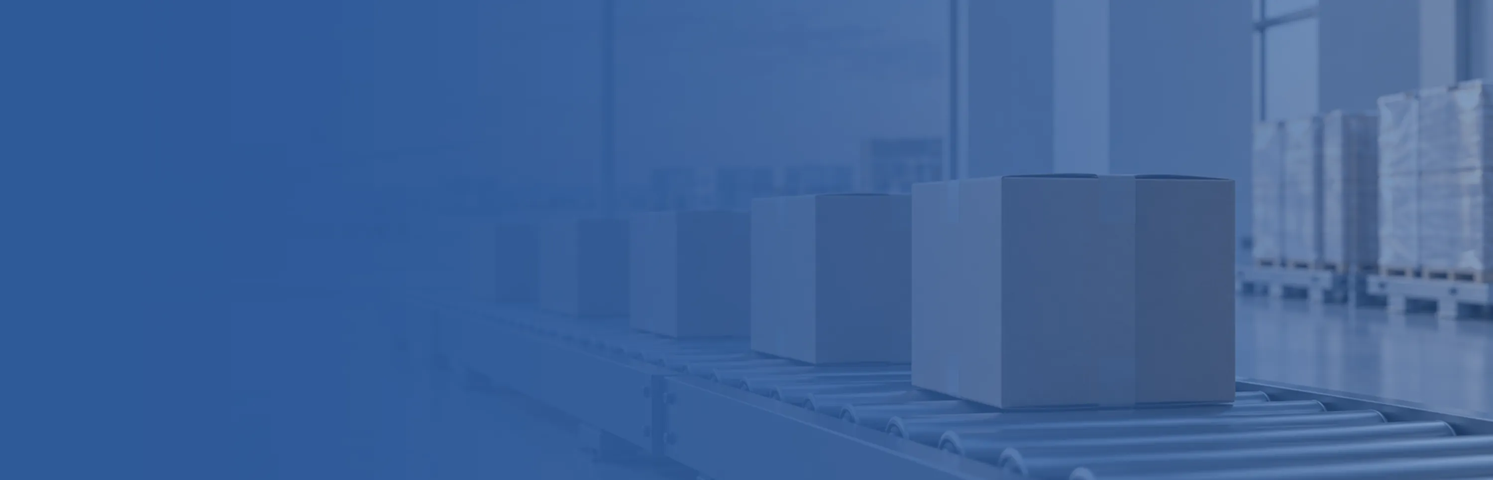 Felmir Health Technology Co., Ltd