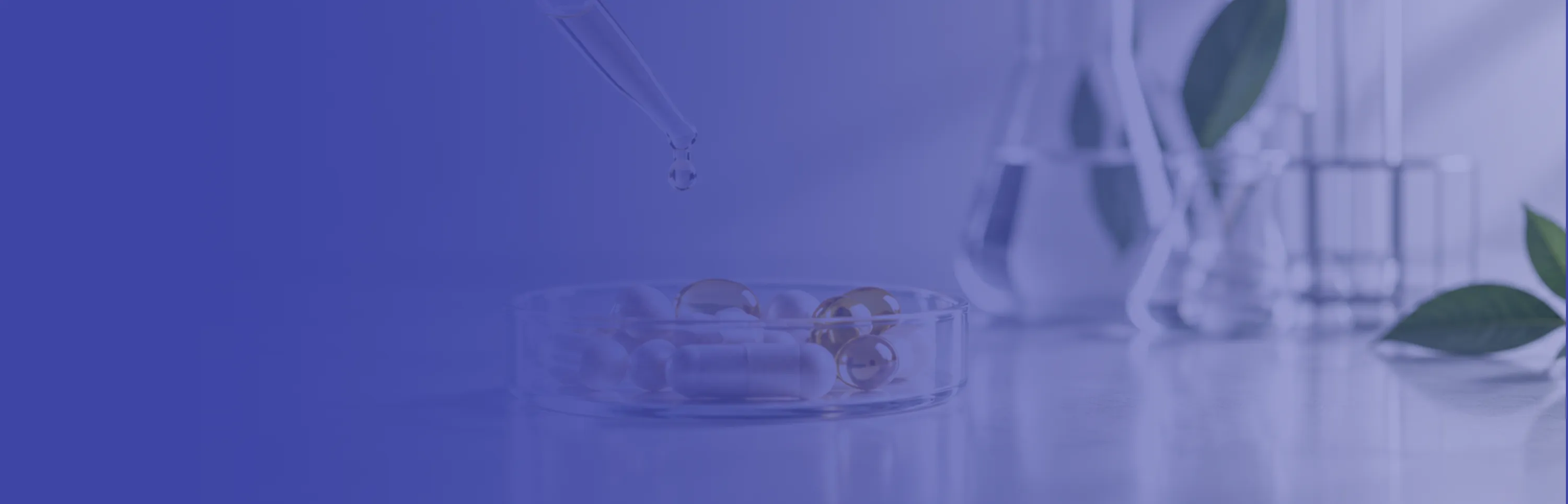 Felmir Health Technology Co., Ltd