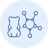 Brain & Cognitive Support