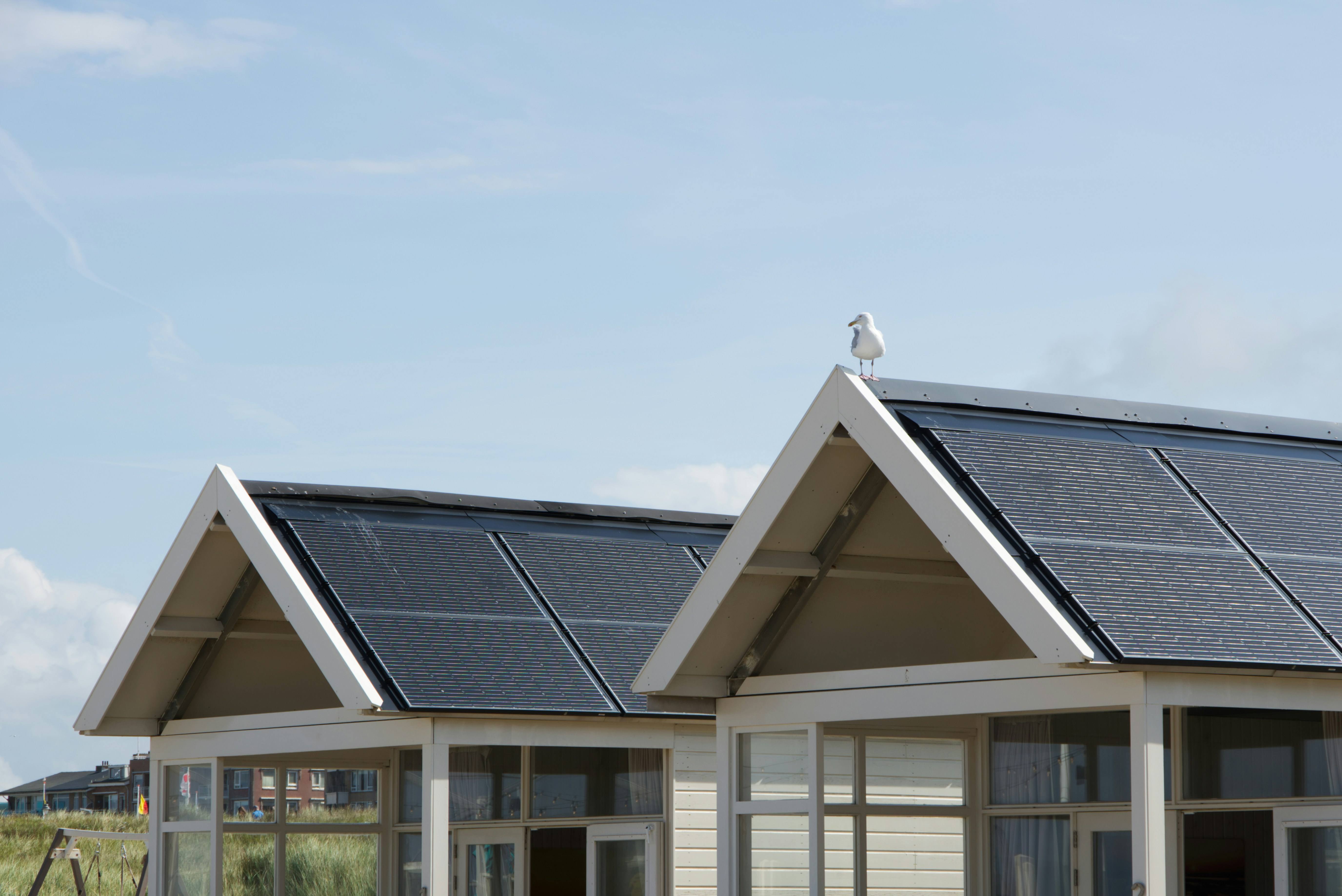 Photovoltaic project-22.jpg