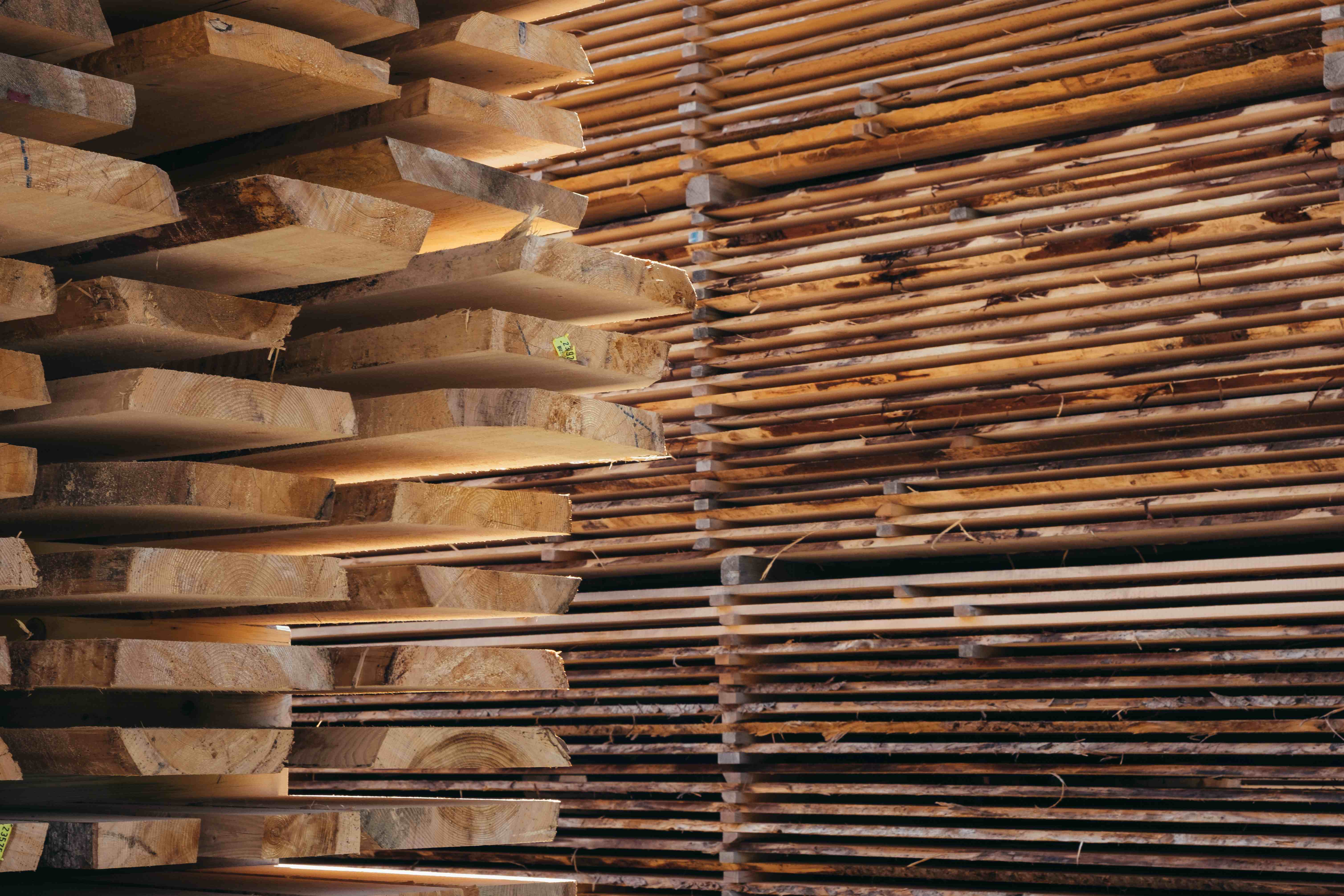 wood veneer-23.jpg