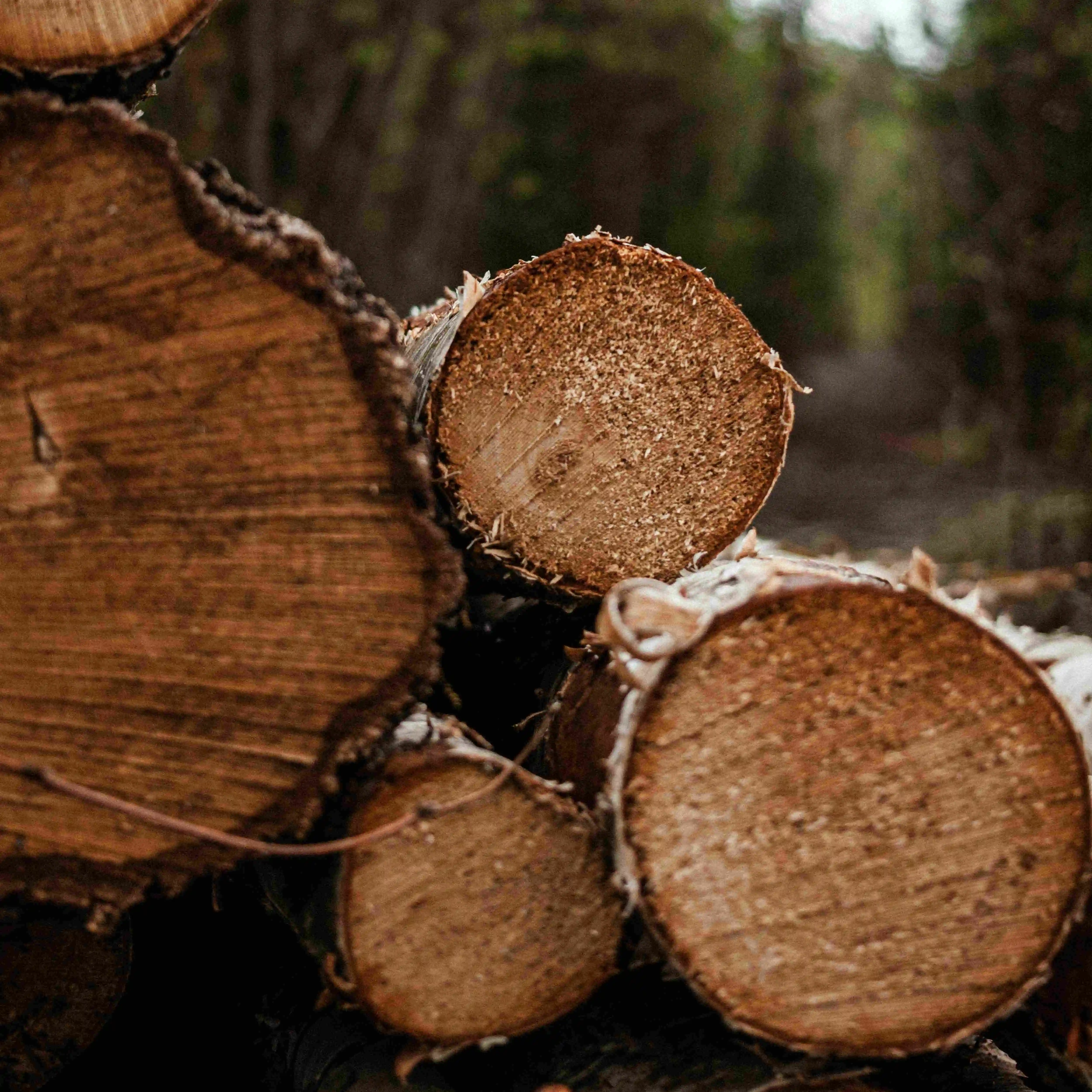 Panneaux muraux en bois sur mesure pour espaces résidentiels et commerciaux