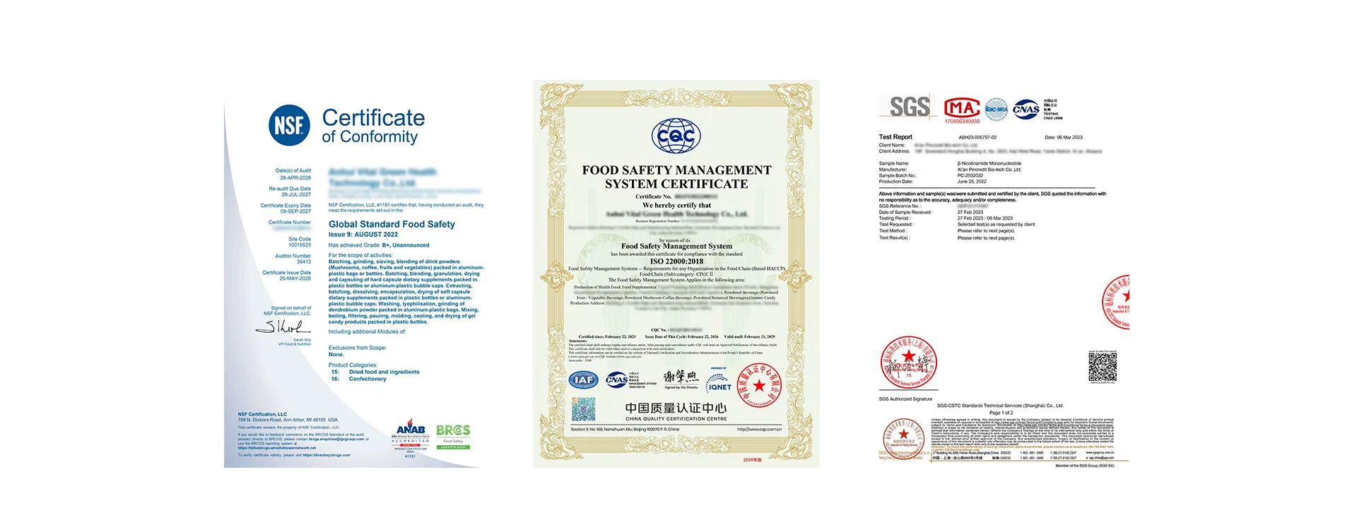 Felmir Health Technology Co., Ltd
