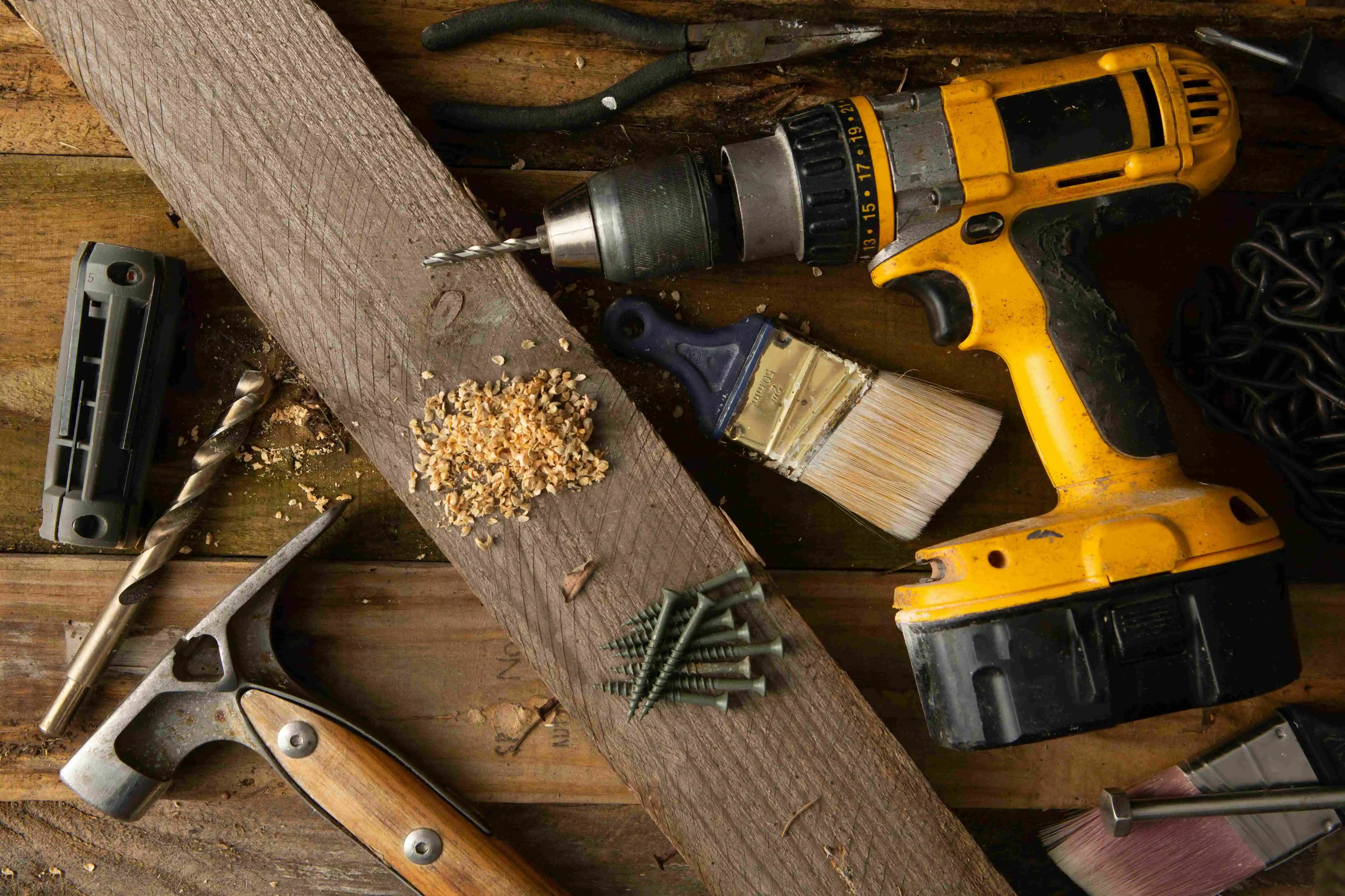 From Logs to Veneer: A Step-by-Step Breakdown