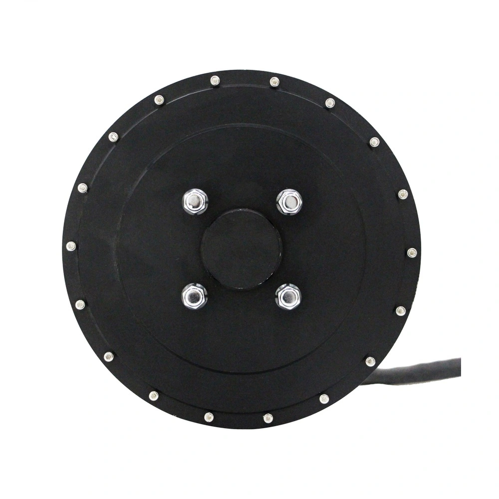 Trung Quốc Động cơ điện Trung Quốc cho bánh xe trung tâm EV Động cơ trung tâm 12KW 273 72v BLDC thiết kế lõm