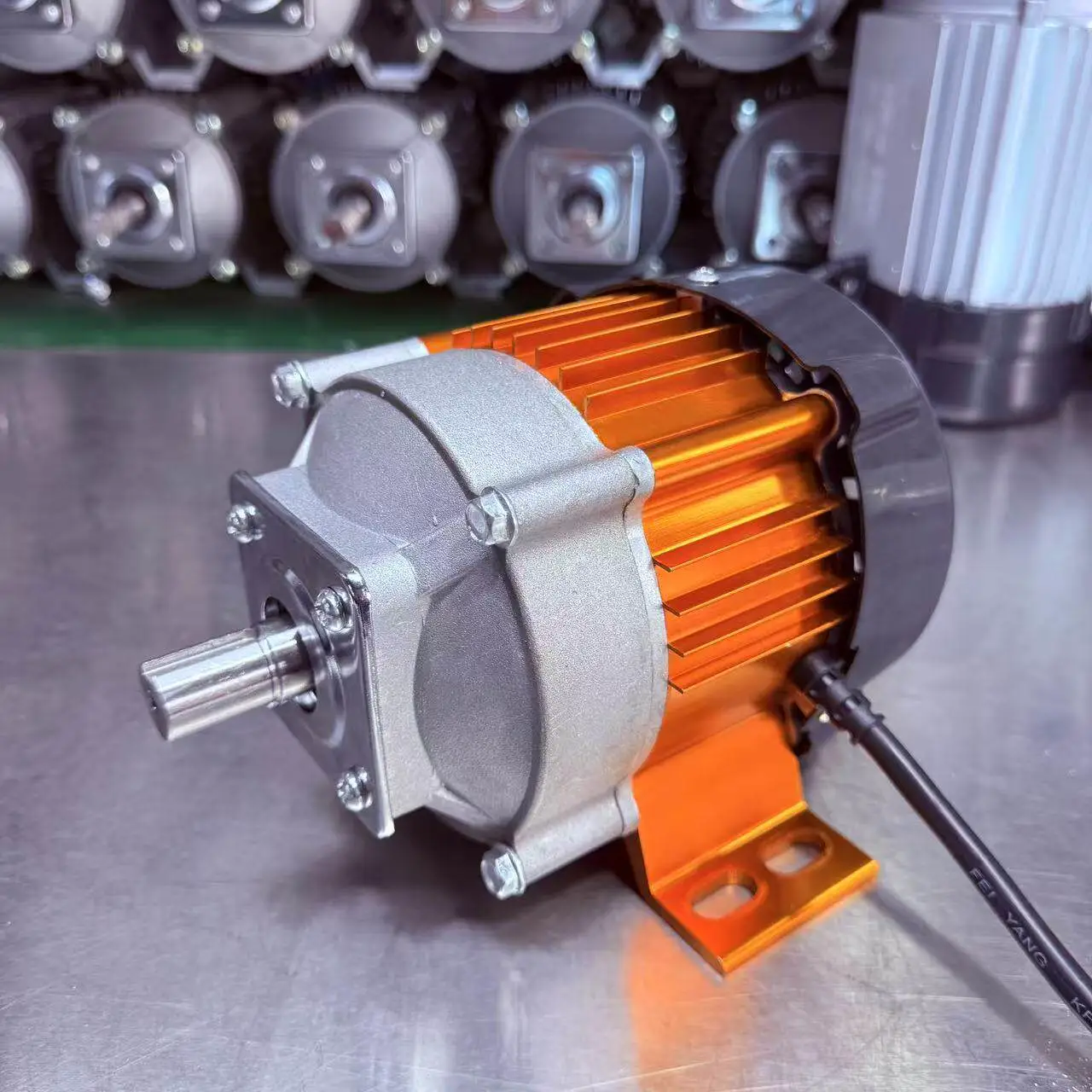 12V/24V/48V/220V 저속 대토크 DC 감속기 모터；순동 브러시리스 권선기 모터 11N·m 토크 56W IP44