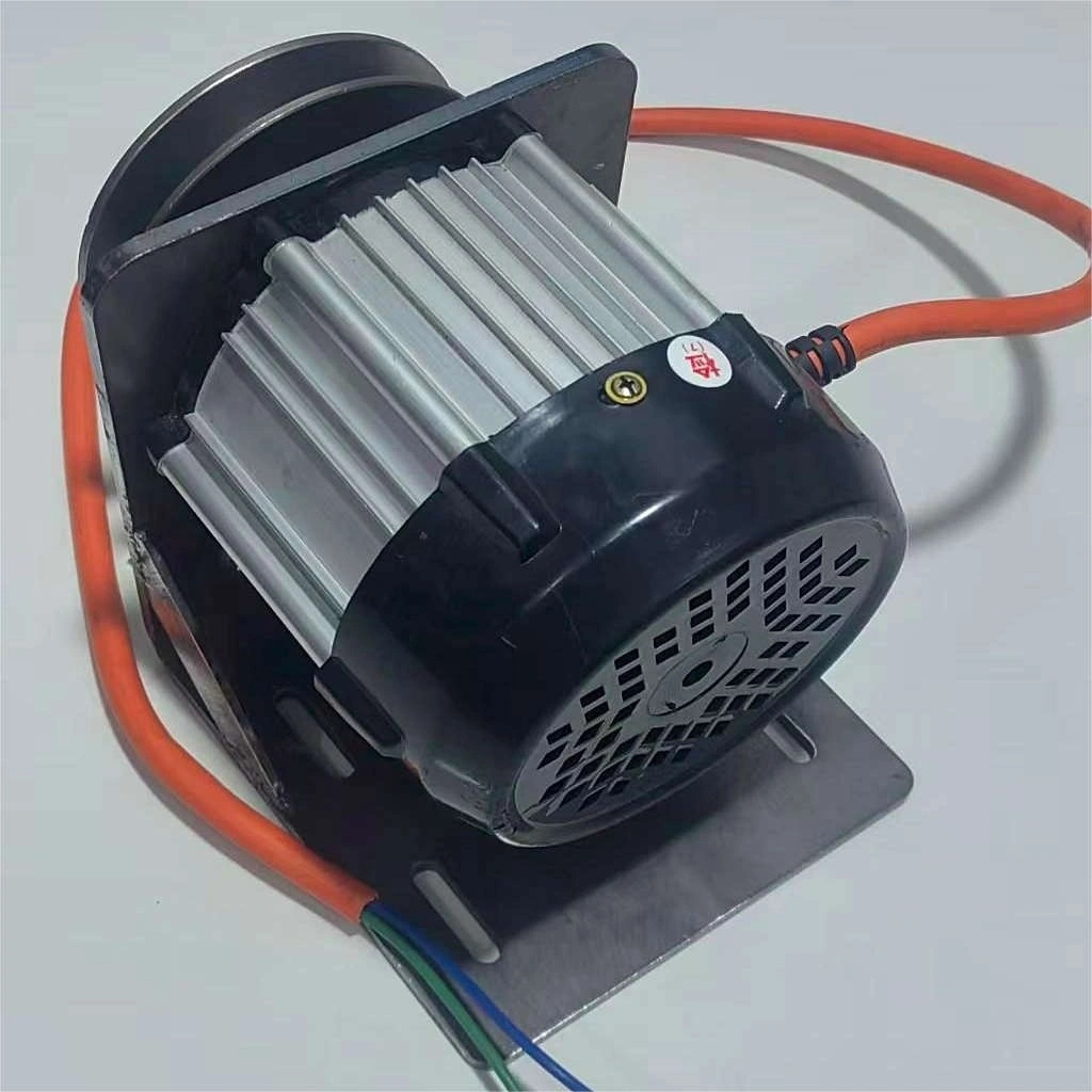 Low Speed 220V 48V 60V 72V 84V 96V 2000W/3000W DC/AC Alternator, Permanent Magnet Brushless, Pure Copper Coil
