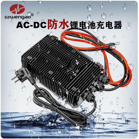 Bộ sạc pin lithium sắt phốt phát SM EV 48V/60V/72V 300/600/1000W với chức năng sạc nhanh và phích cắm tùy chỉnh