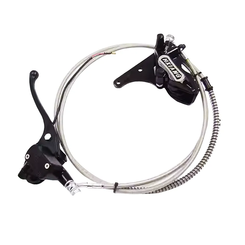 Hộp số xe điện Phanh xe điện điện Máy móc tay Sau 110 đĩa phanh bộ lắp ráp
