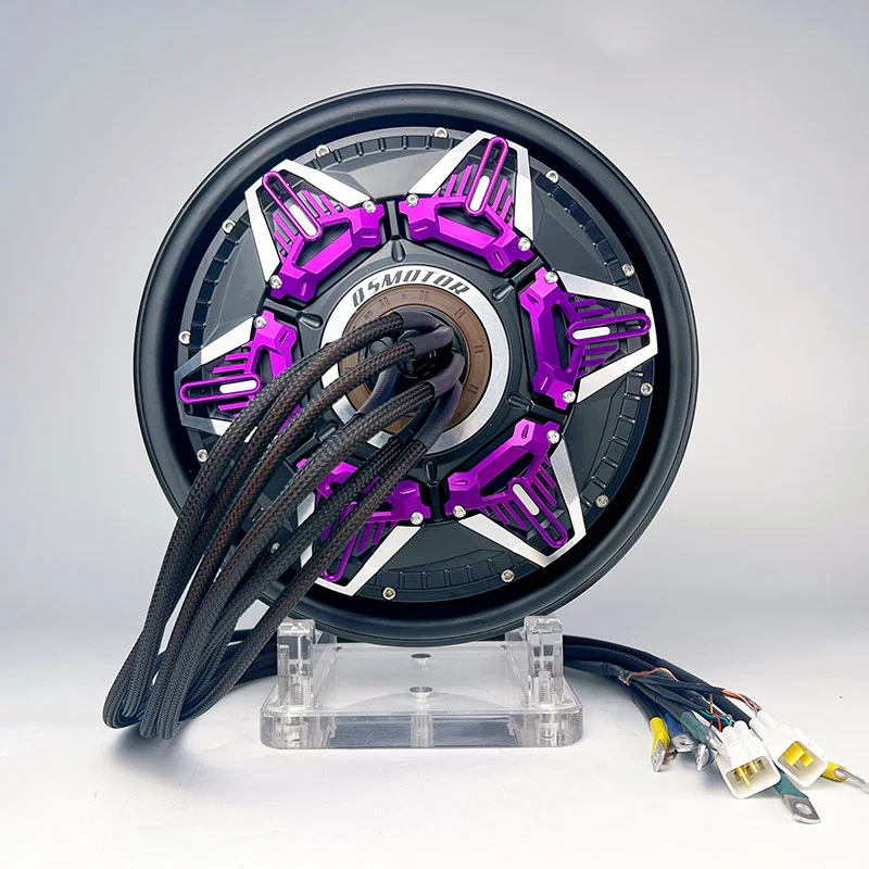 QS Motor 12 Inch Star Magnet Disc Permanent Magnet 6000W IP65 Waterproof Brushless 12V Customizable Electric Bike