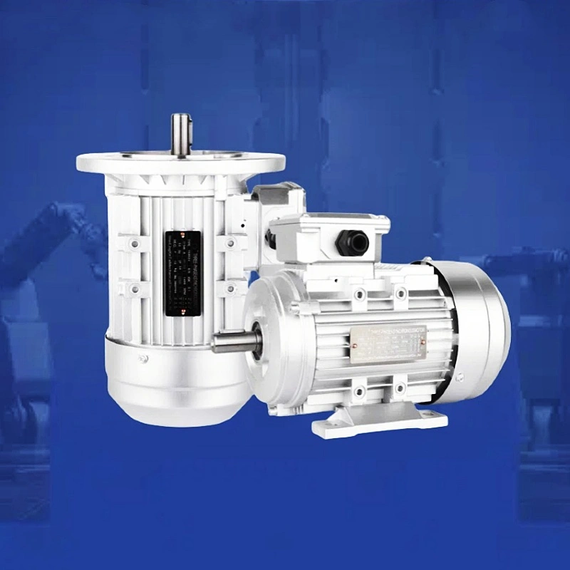 Motor 3 pha nhôm nguyên chất hoàn toàn 0,75 kW 2800 Vòng/phút Motor bất đồng bộ thẳng đứng của vỏ nhôm YE3