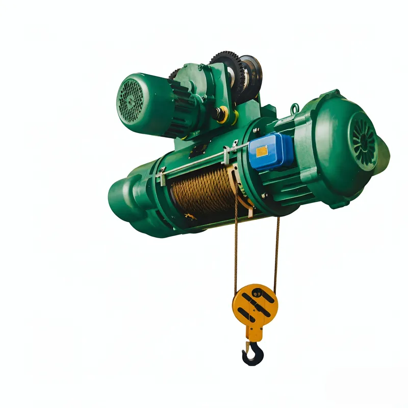 Two-speed wire rope electric hoist