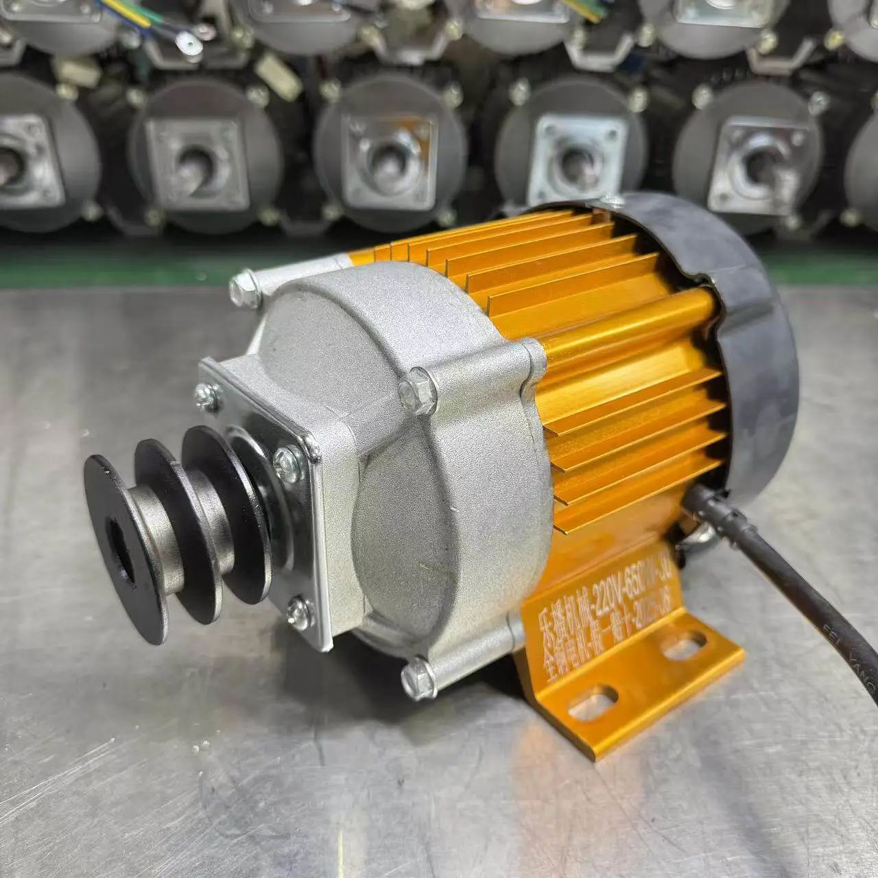 12V/24V/48V/220V低速大扭矩直流减速电机；纯铜无刷绕线机电机11牛米扭矩56W IP44