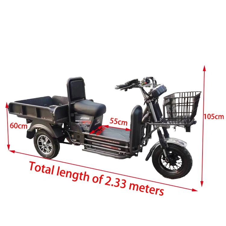 고부하 1500W 60V 72v 익스프레스 전기 트라이크 버킷 포함