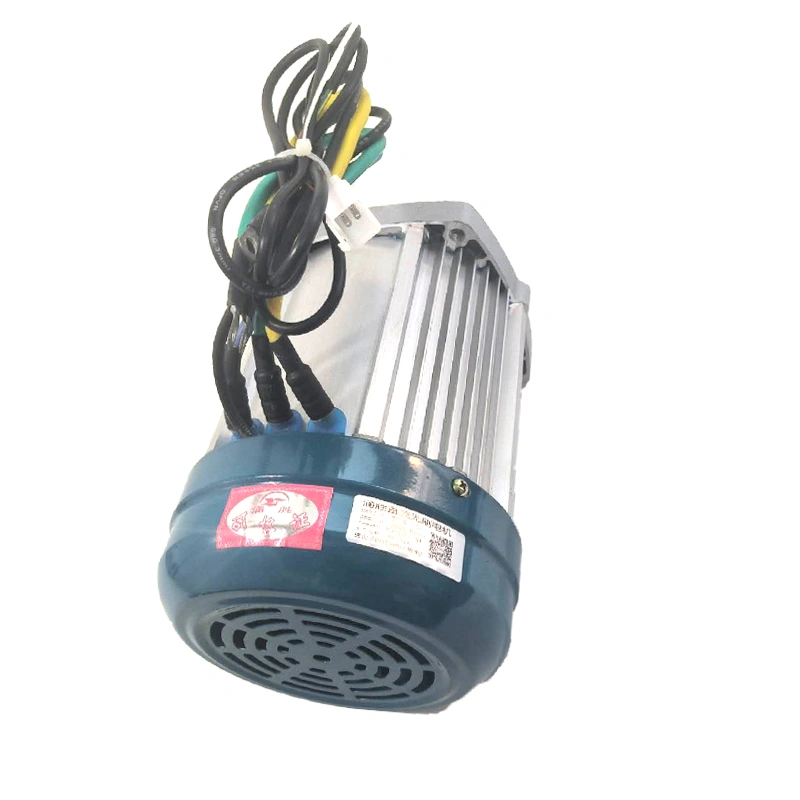 고출력 물병 전동 삼륜차 모터 60V 72V 2200W 3상 DC 브러시리스 모터