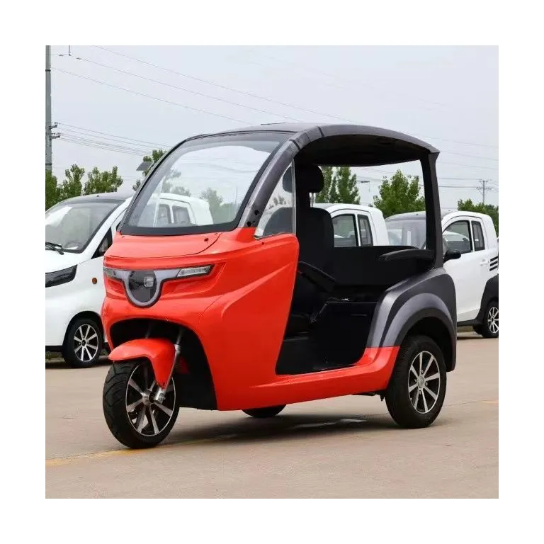 관광지 전동 관광 버스 60V 1500W 전동 뚜뚜 카 삼륜 삼륜차