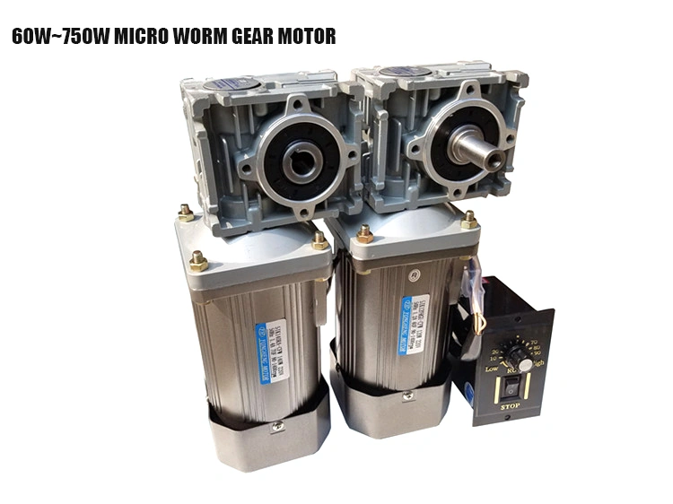 High Torque Single Phase 220V 1400rpm 60-750w Worm Gear Motor With Speed Controller