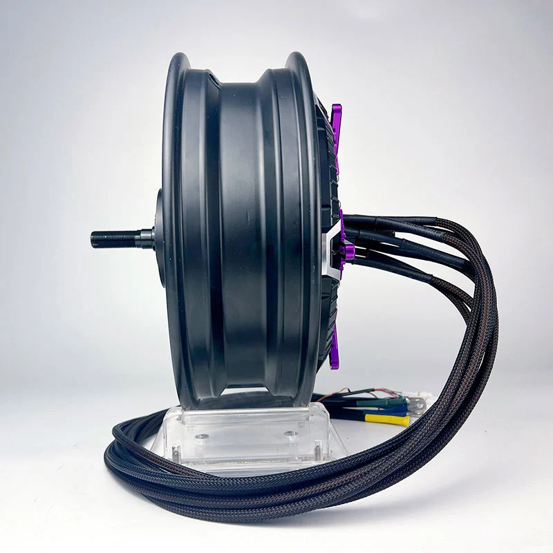 QS Motor 12 Inch Star Magnet Disc Permanent Magnet 6000W IP65 Waterproof Brushless 12V Customizable Electric Bike
